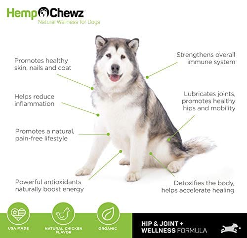Dog on Hemp Chewz Hip - Joint Care 100% Organic Hemp Oil Dog Treats